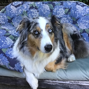 Fundraising Page: Lori Ware